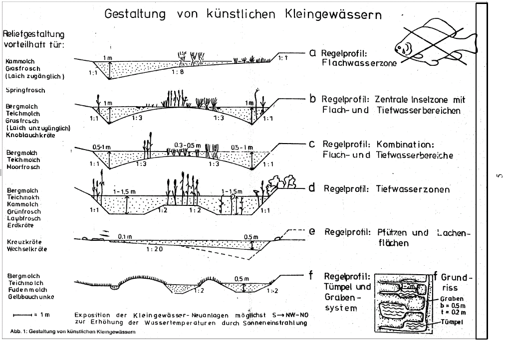 Gestaltung künstlicher Kleingewässer