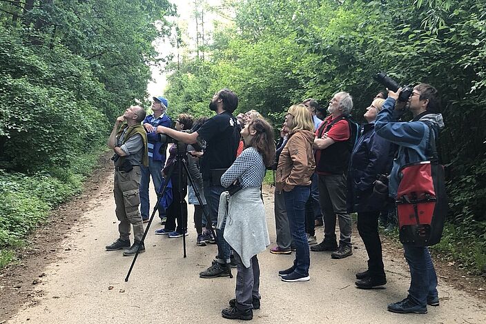 Teilnehmer der Vogelstimmenwanderung 25.05.22 lauschen Erläuterungen des Vogelkenners Lukas Sobotta (LBV); Foto: Sandra Kramps, BN Neunkirchen am Brand u.U.