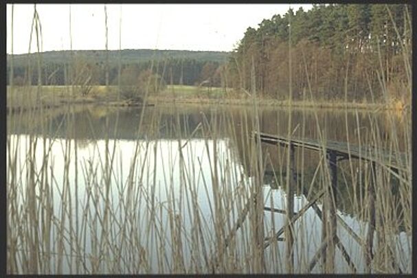 Der Eglofsteiner Weiher