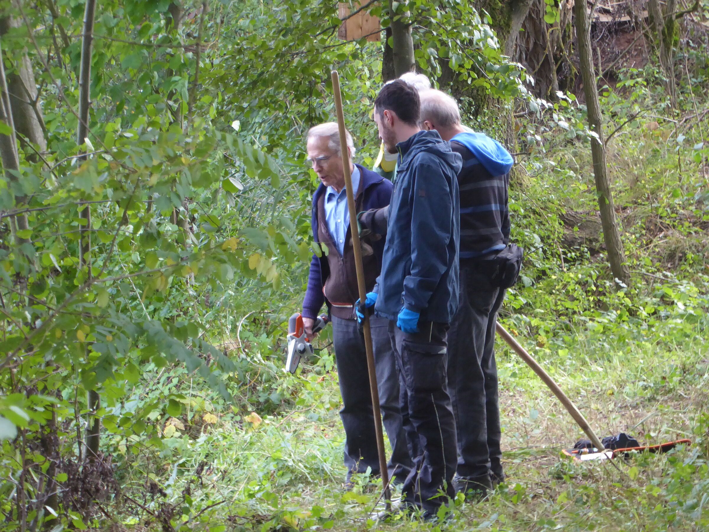 Foto B. Kornalik Igelburg wird ertüchtigt