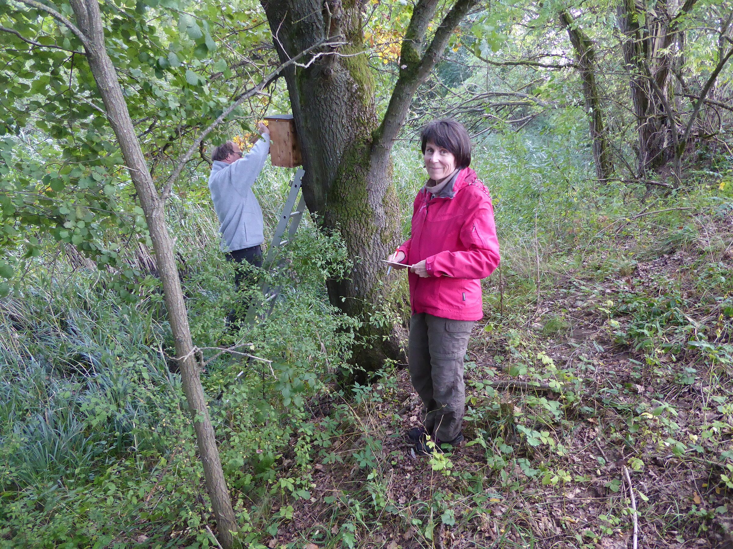 Foto B. Kornalik Nistkästen reinigen