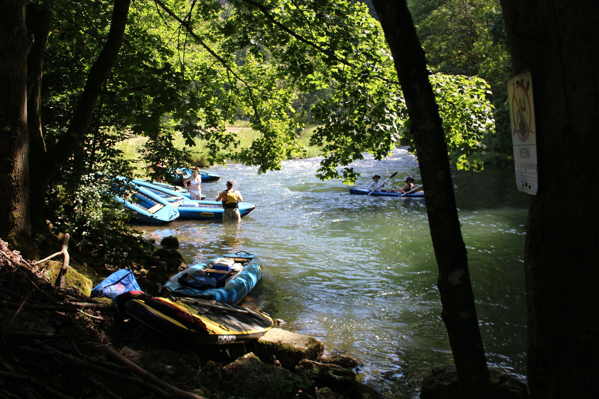 Naturwehr in der Wiesent (Foto: Kiehr)