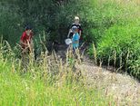 Die jungen Forscherinnen und Forscher schwärmen mit Schöpfschalen zum Brandbach aus (Leben in Bach und Tümpel 27.06.2019). Foto: Bernhard Birnfeld