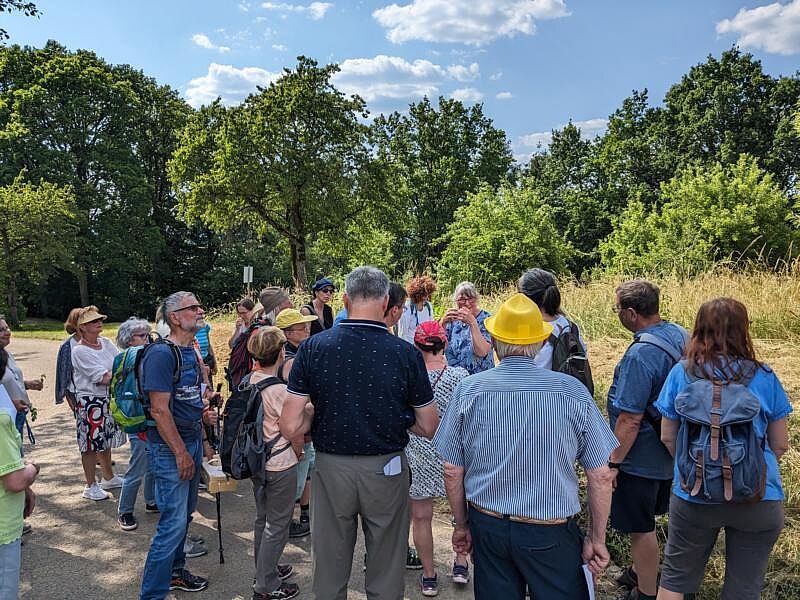 BN-Neunkirchen a. Br. u.U. Juni 2023. Kräuter Exkursion. Fotografin: Karin Weber