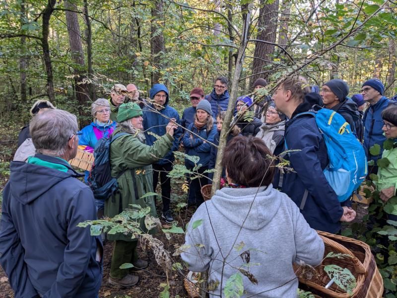 BN-Neunkirchen a. Br. u. U., Oktober 2024, Dipl. Biologin Diana Härpfer erklärt den kirschroten Spei-Täubling (Russula emetica) giftig! Fotografin: Karin Weber BN-Neunkirchen a. Br. u. U., Oktober 2024, Dipl. Biologin Diana Härpfer erklärt den kirschroten Spei-Täubling (Russula emetica) giftig! Fotografin: Karin Weber