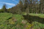 Mai 2017 - Die Wasserfläche des Feuchtbiotops Langewiese bei Ebersbach verändert sich, Foto: Günter Schulze Vowinkel-Schwedle