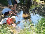 Im Brandbach gibt es interessante Lebewesen - die müssen wir uns näher anschauen (Leben in Bach und Tümpel 27.06.2019). Foto: Bernhard Birnfeld