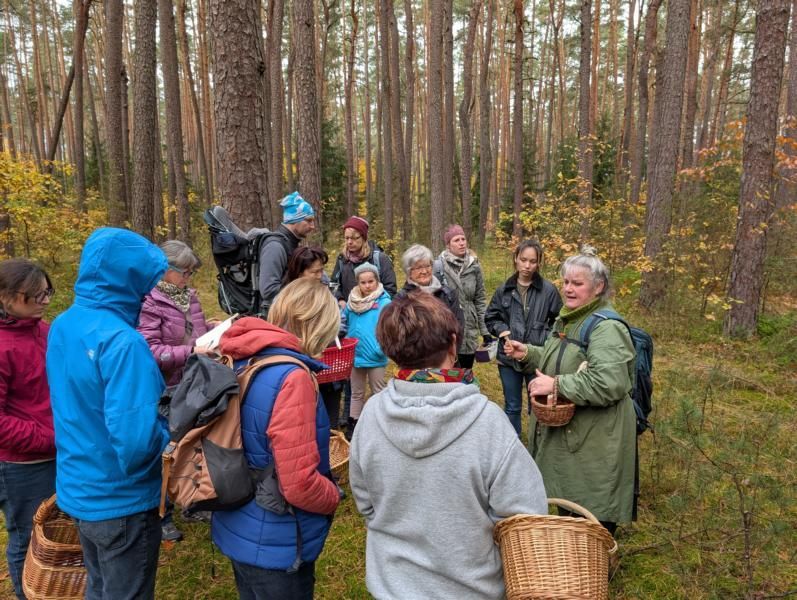 BN-Neunkirchen a. Br. u. U.. 25.10.2025. Exkursion spätherbstliche Pilze im Reichswald. Foto: Karin Weber