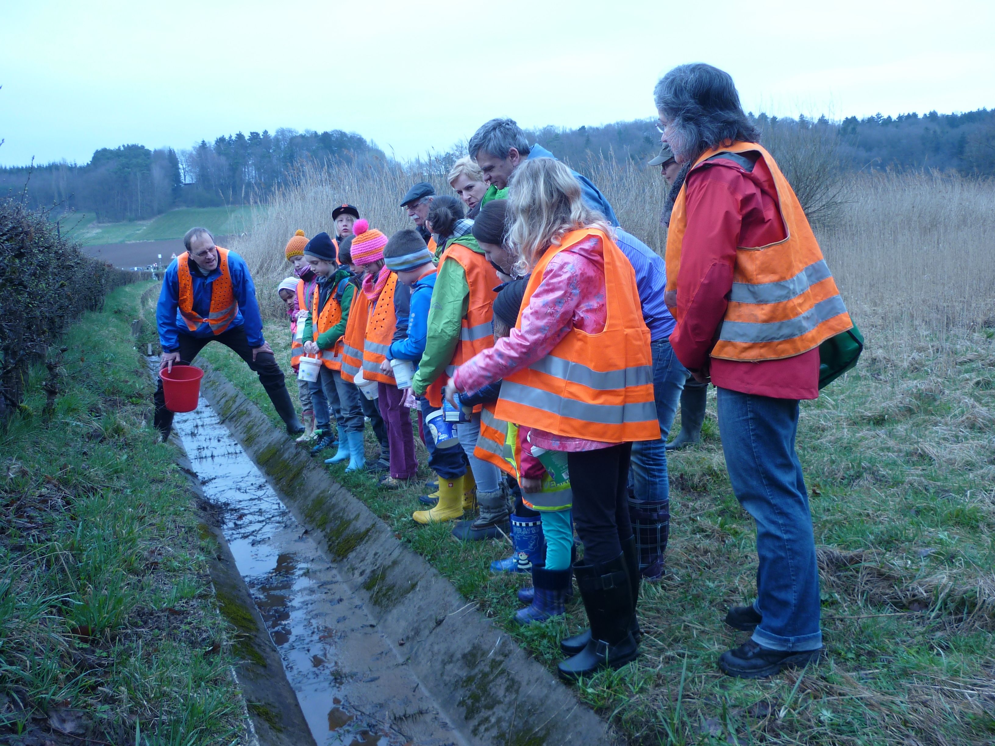 Amphibienexkursion Örtelbergweiher 22.03.2014