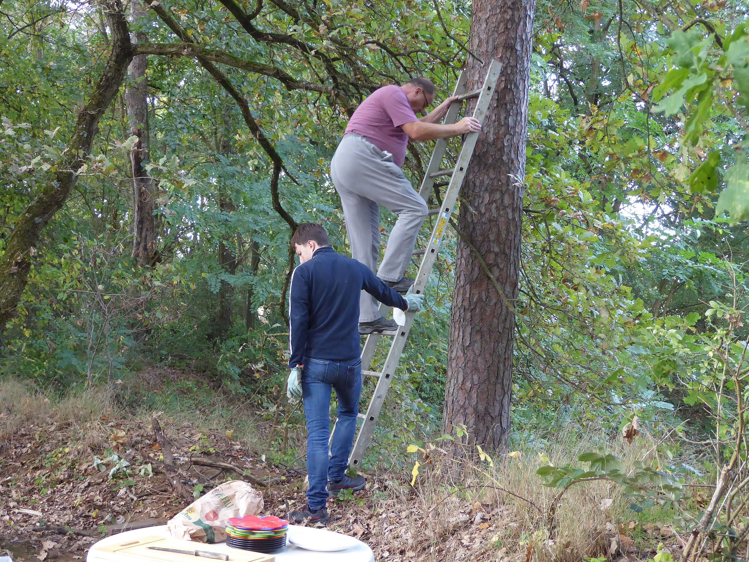 Foto B. Kornalik Nistkästen reinigen