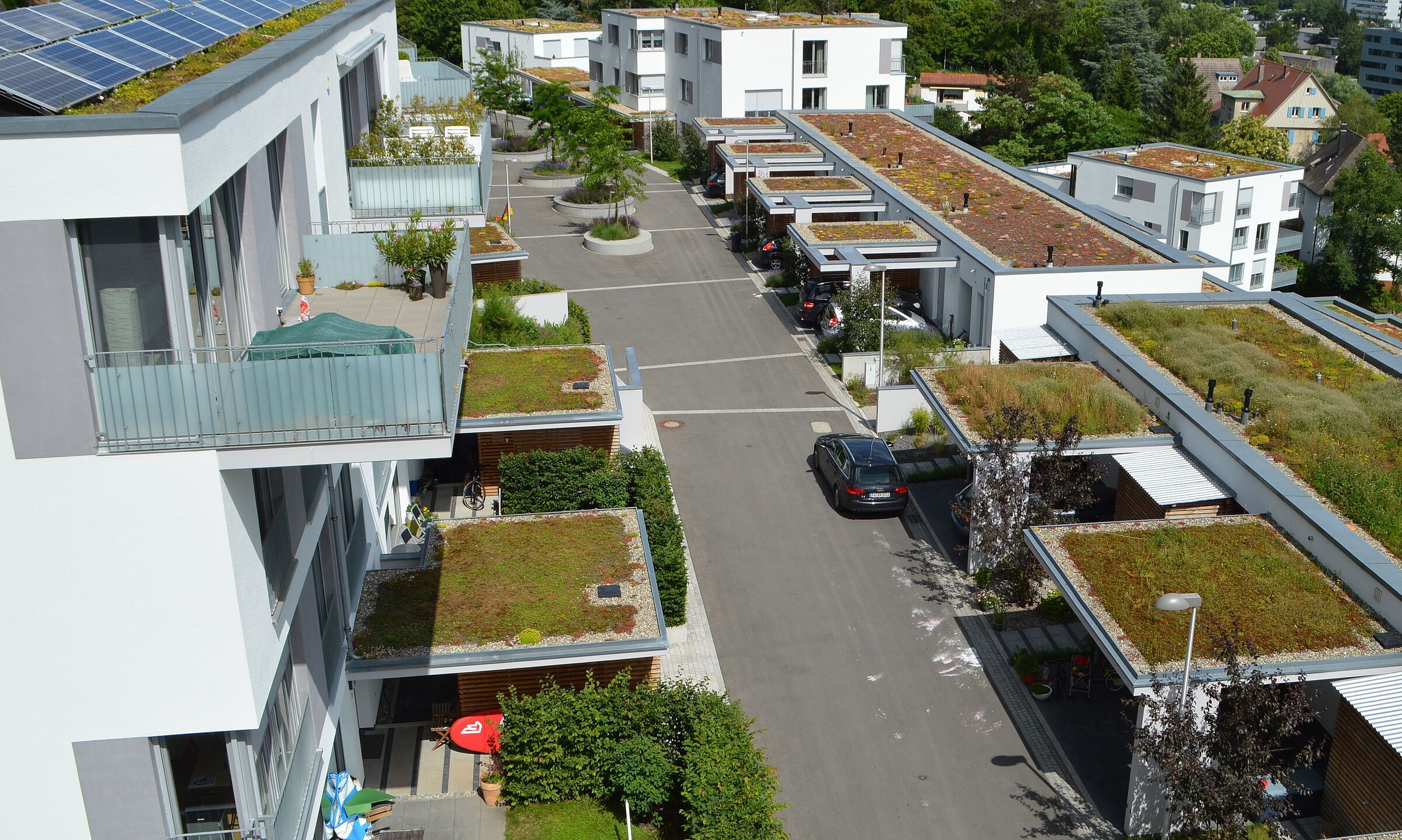 Dachbegrünung (Foto: Dr. Gunter Mann)