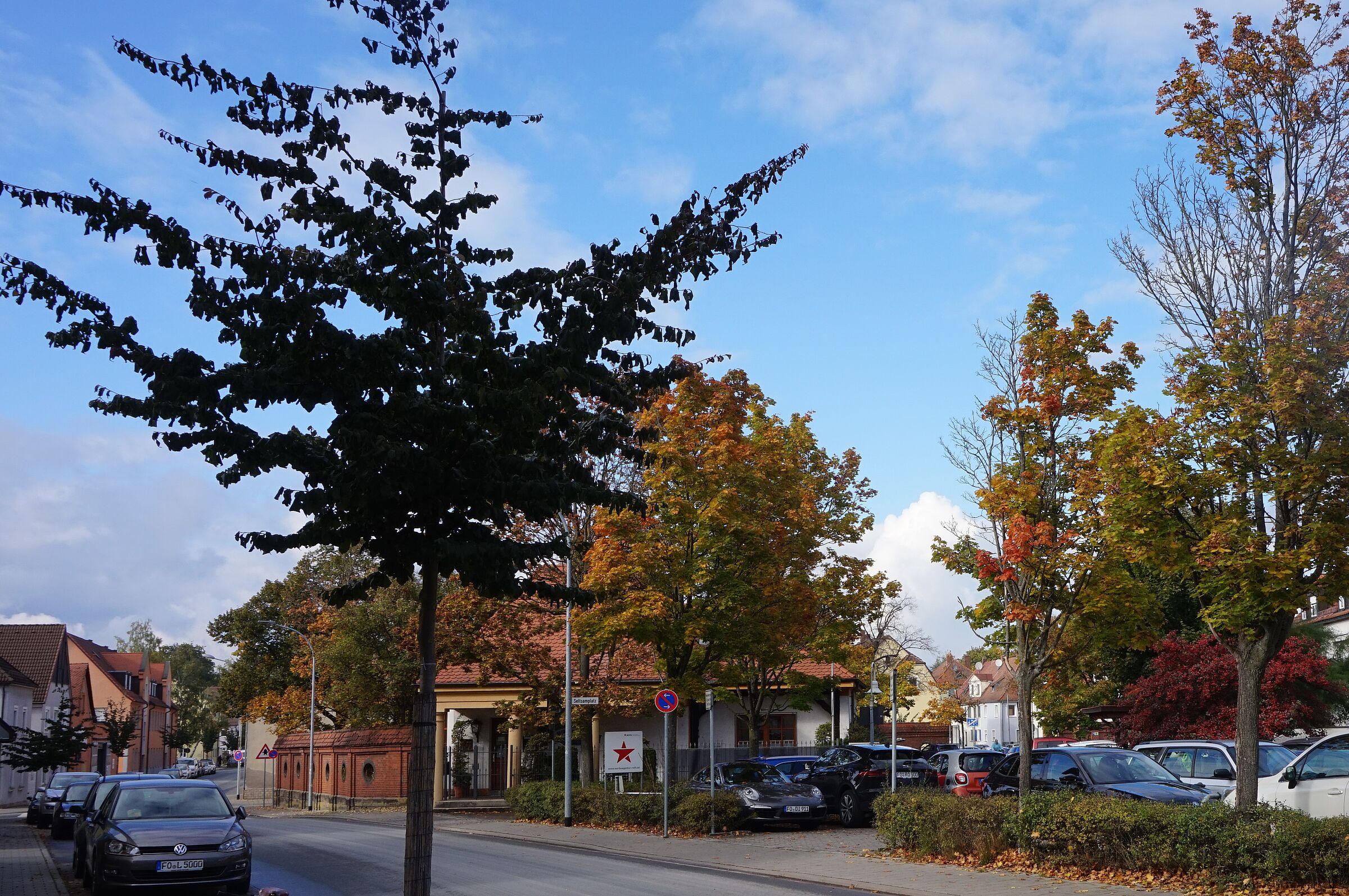 Stadtgang mit der Stadtgärtnerei um 22.09.21 um 16 Uhr Forchheim