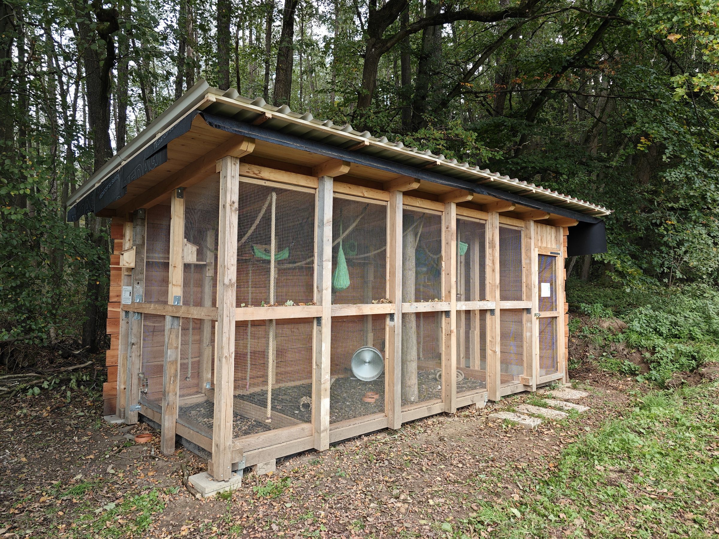 Eichhörnchen Auffangstation