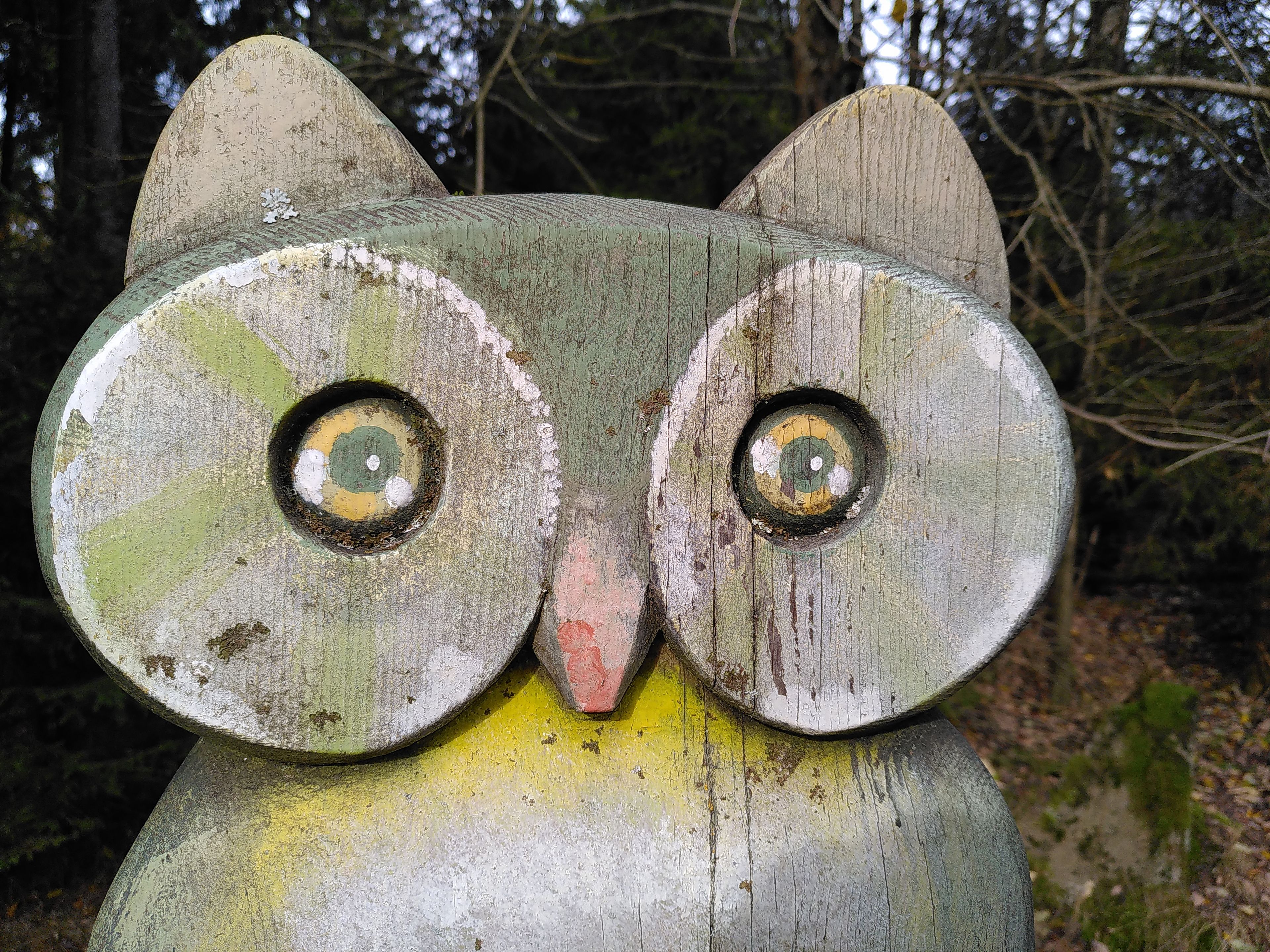 Holz-Eule