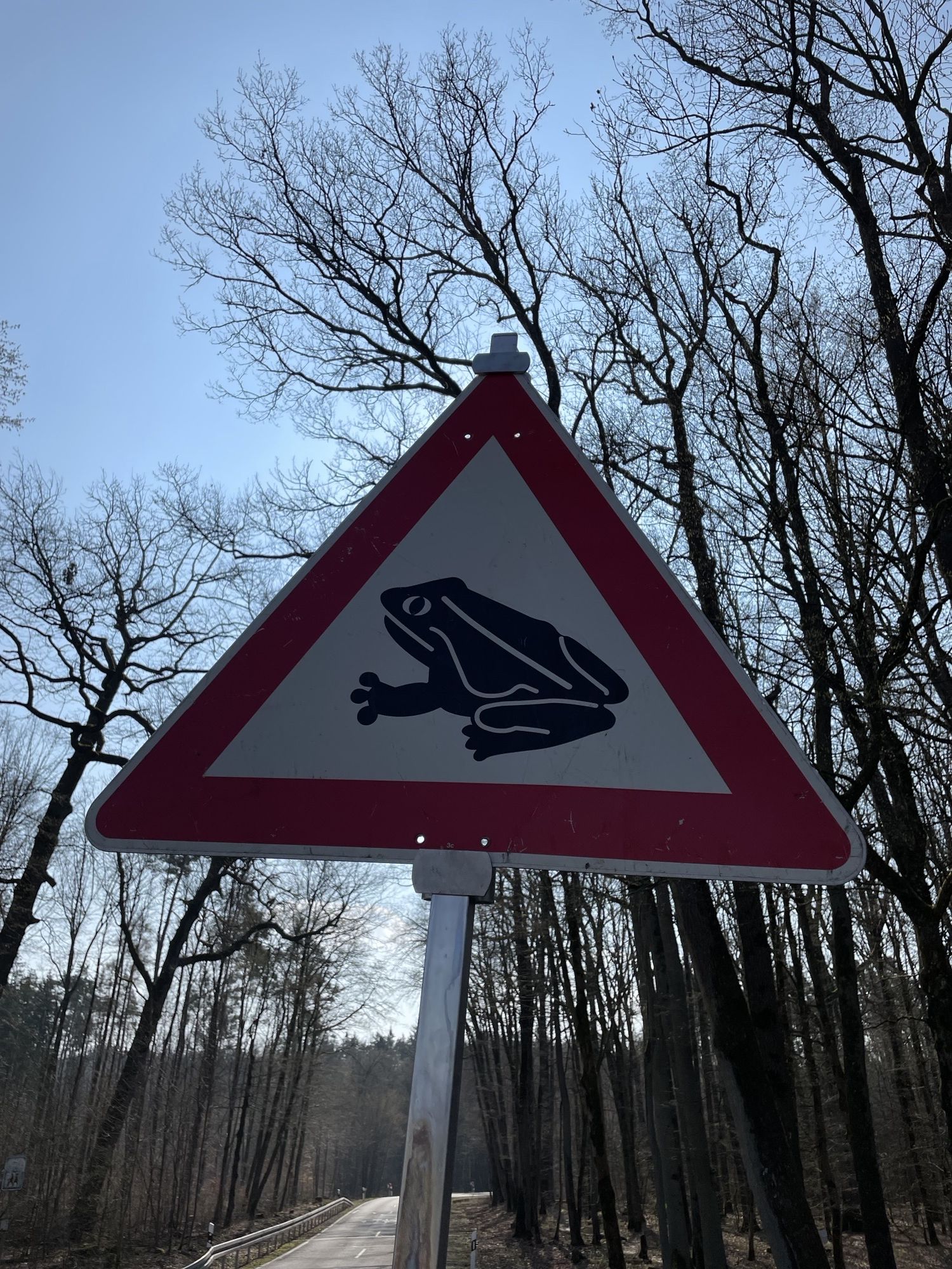 Verkehrsschild Amphibienwanderung