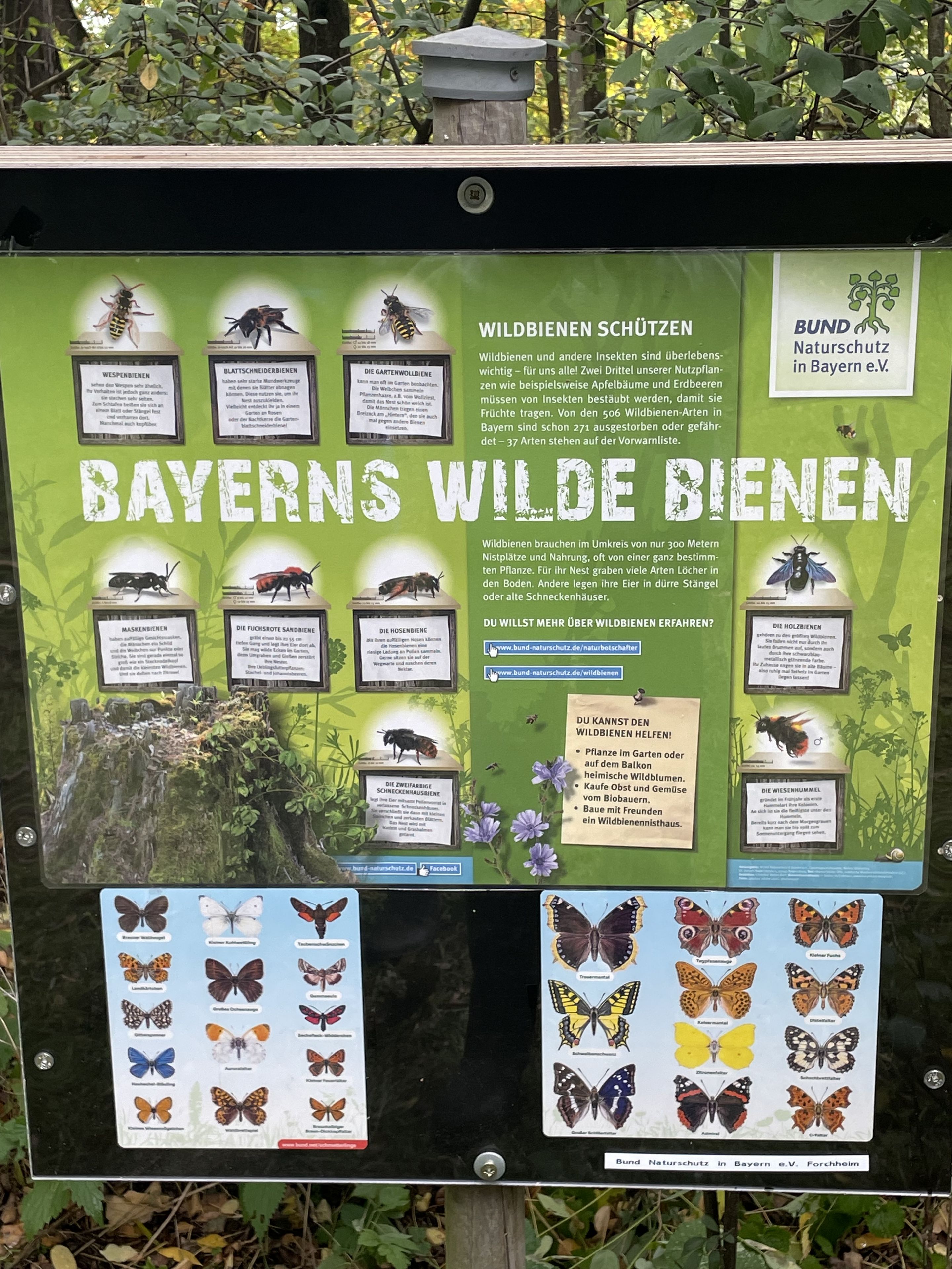Schautafel beim Wildbienenhaus
