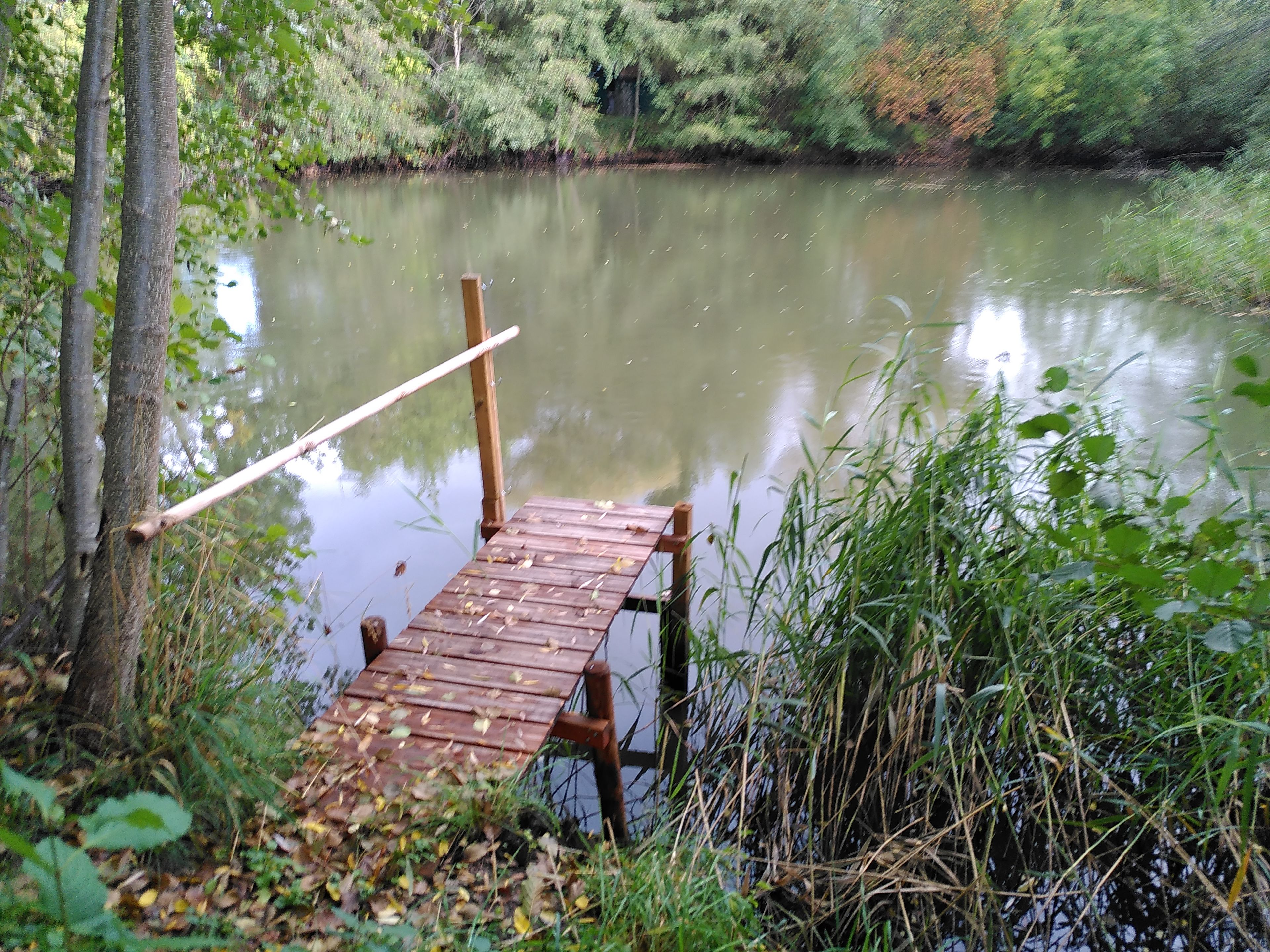Hausener Weiher