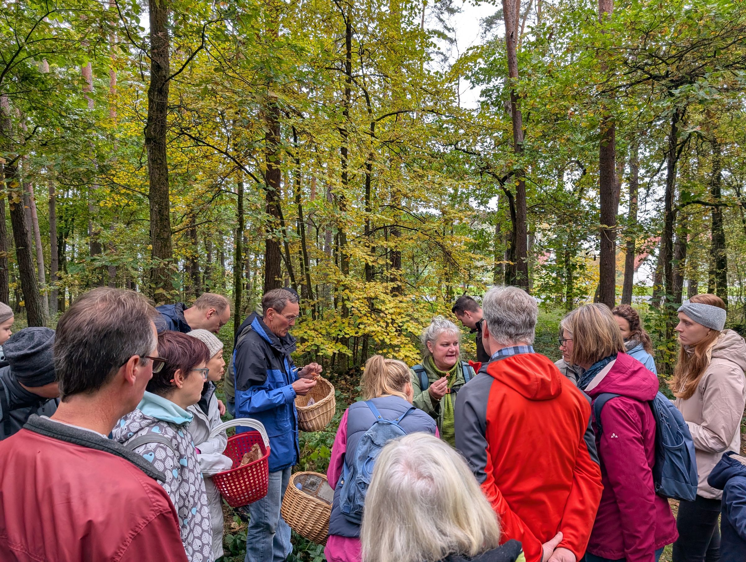 BN-Neunkirchen a. Br. u. U.. 11.10.2025. Exkursion heimische Pilze im Reichswald. Foto: Karin Weber BN-Neunkirchen a. Br. u. U.. 11.10.2025. Exkursion heimische Pilze im Reichswald. Foto: Karin Weber