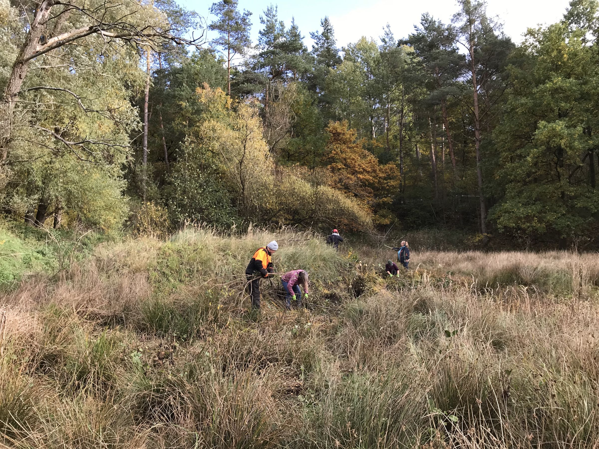BN-Neunkirchen a. Br. u. U.. 24.10.2025. Pflegemaßnahmen im Biotop „Alten Dormitzer Sandgrube. Foto: Silke Fronemann