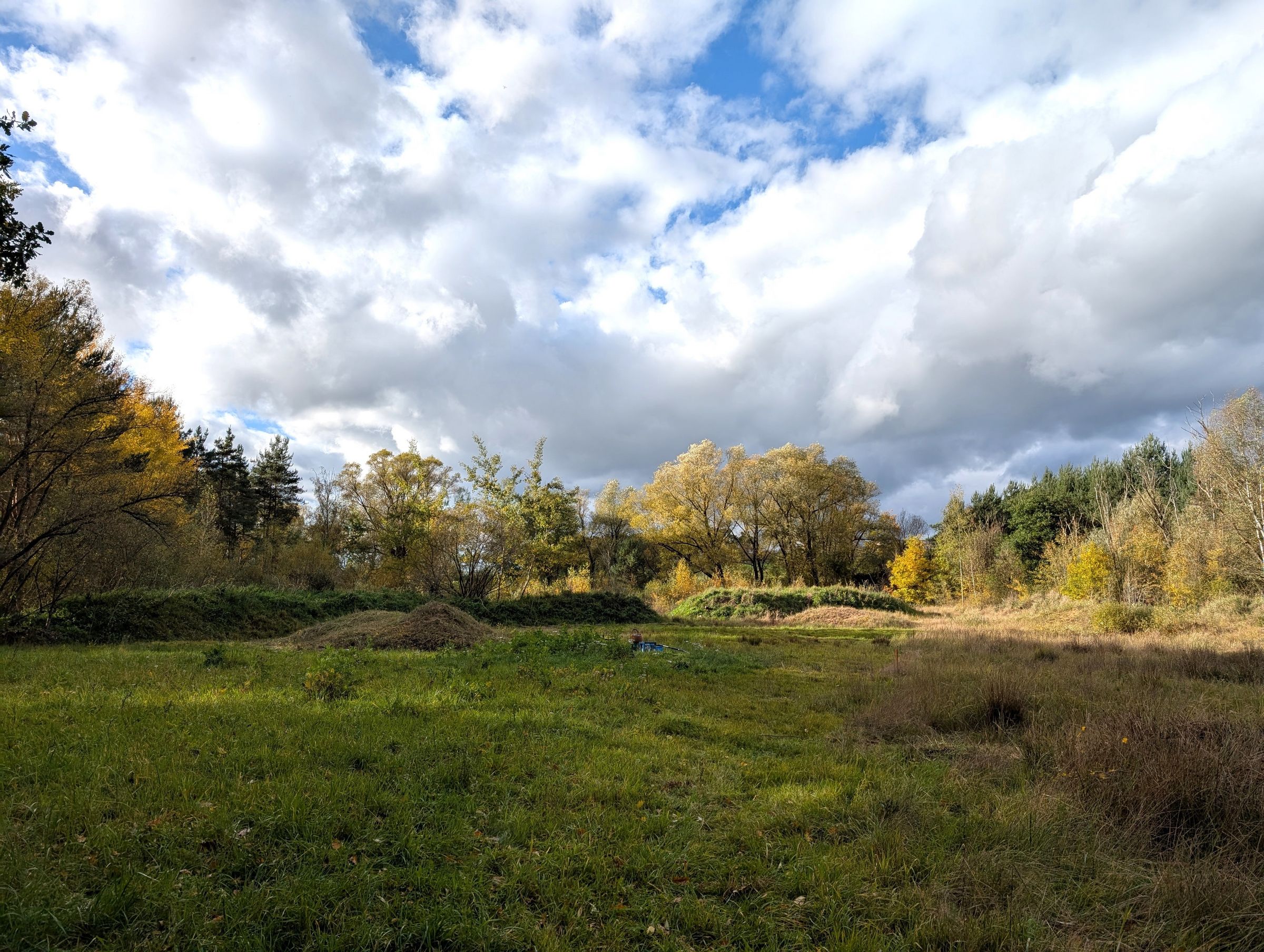 BN-Neunkirchen a. Br. u. U.. 24.10.2025. Freigelegte Sandhügel. Foto: Karin Weber