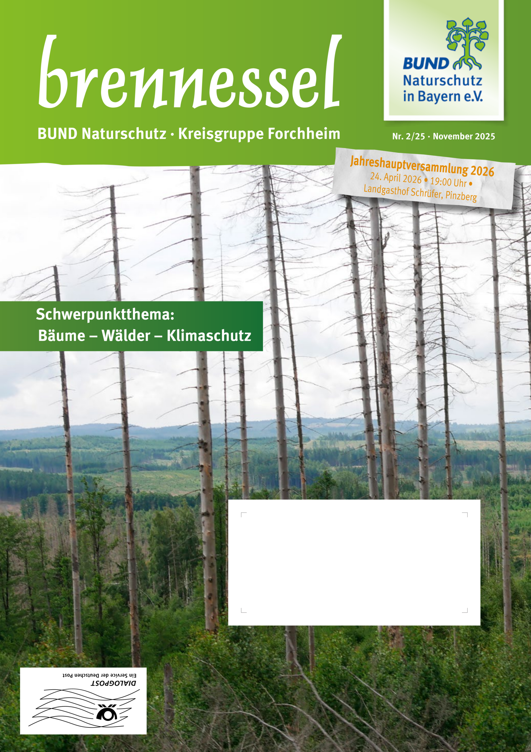 Brennessel 2/2025